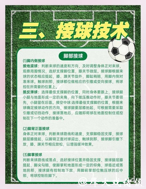 全面解读世界杯下注平台的功能与优势 全面解读世界杯下注平台的功能与优势